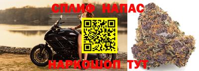 мяу мяу мука Кумертау